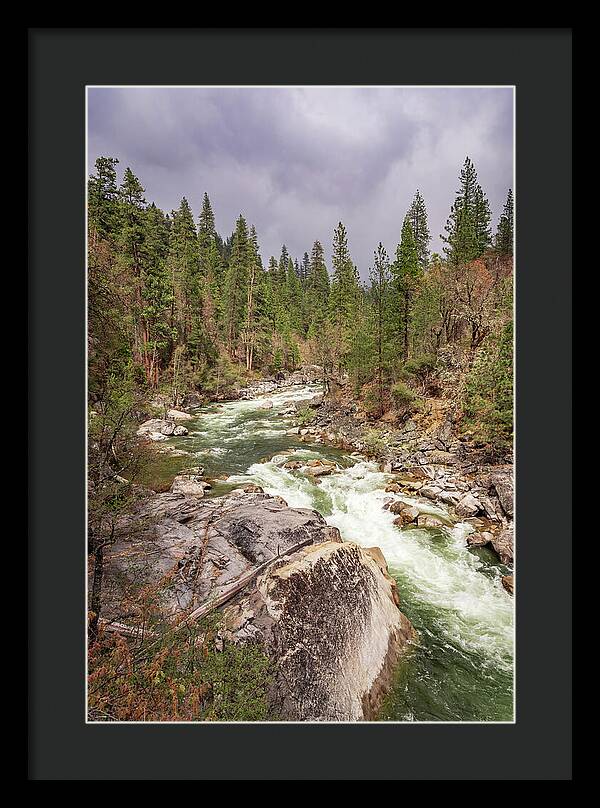 Calaveras Big Trees State Park River 5 - Framed Print