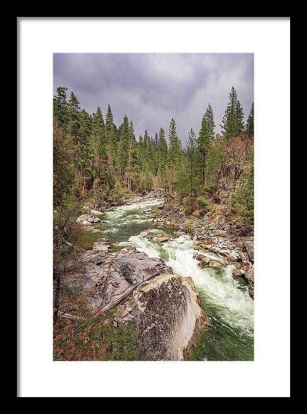 Calaveras Big Trees State Park River 5 - Framed Print