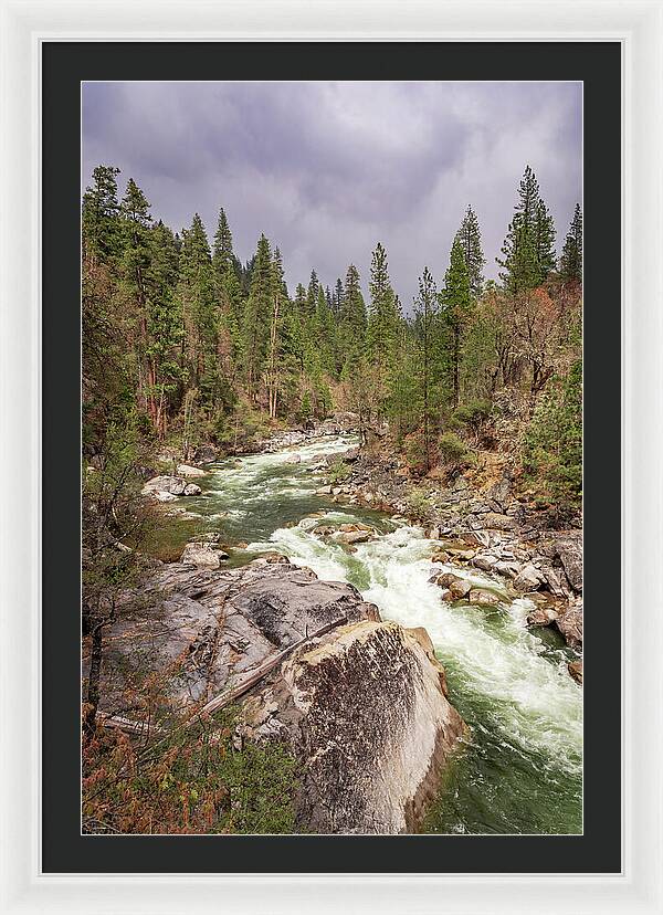 Calaveras Big Trees State Park River 5 - Framed Print