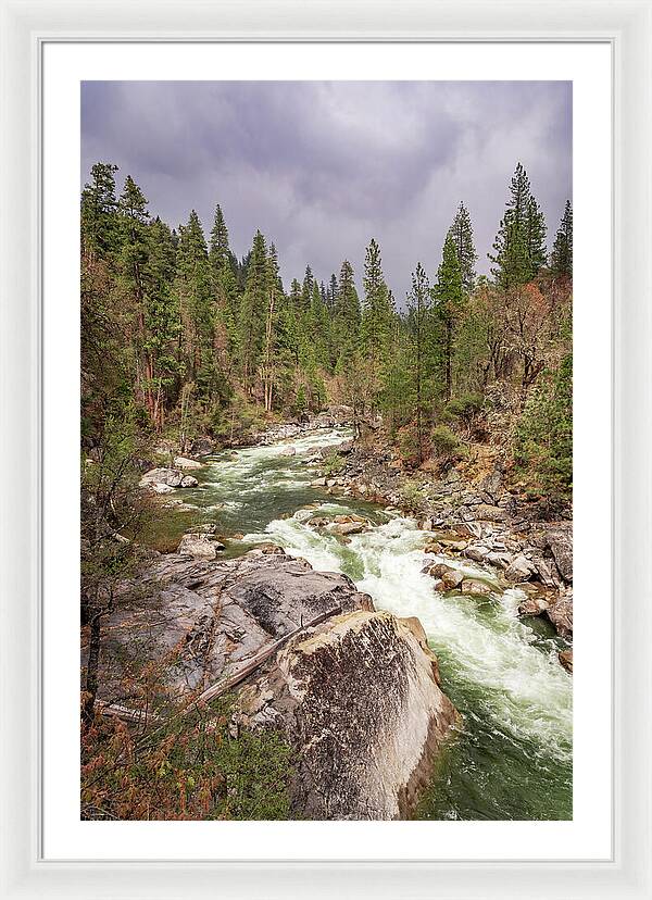 Calaveras Big Trees State Park River 5 - Framed Print