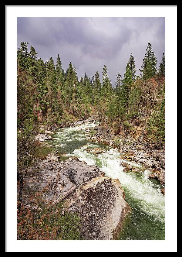 Calaveras Big Trees State Park River 5 - Framed Print