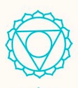 Throat Chakra Orgone Pendant with Shungite Stone