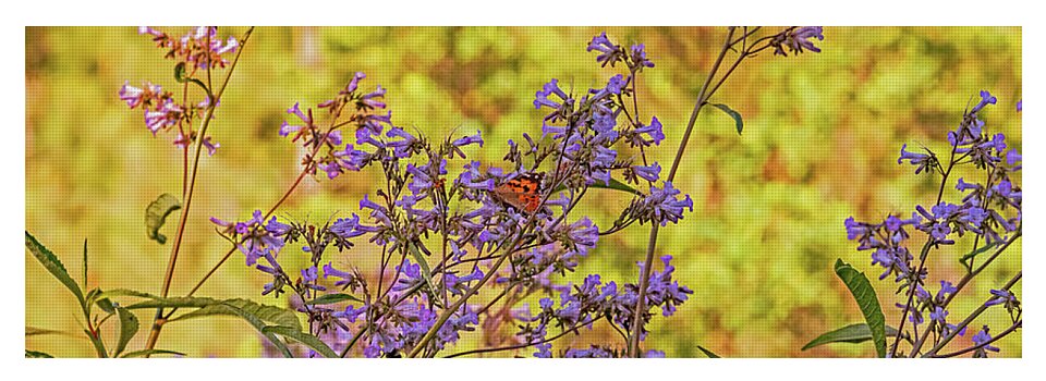 A Butterfly Must Rest - Yoga Mat