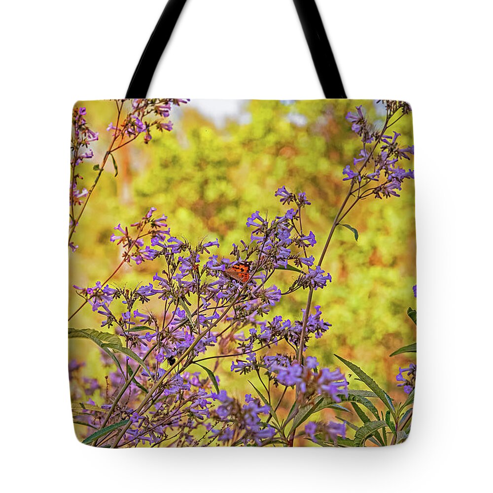 A Butterfly Must Rest - Tote Bag