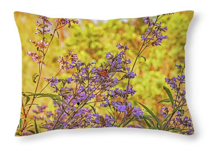 A Butterfly Must Rest - Throw Pillow