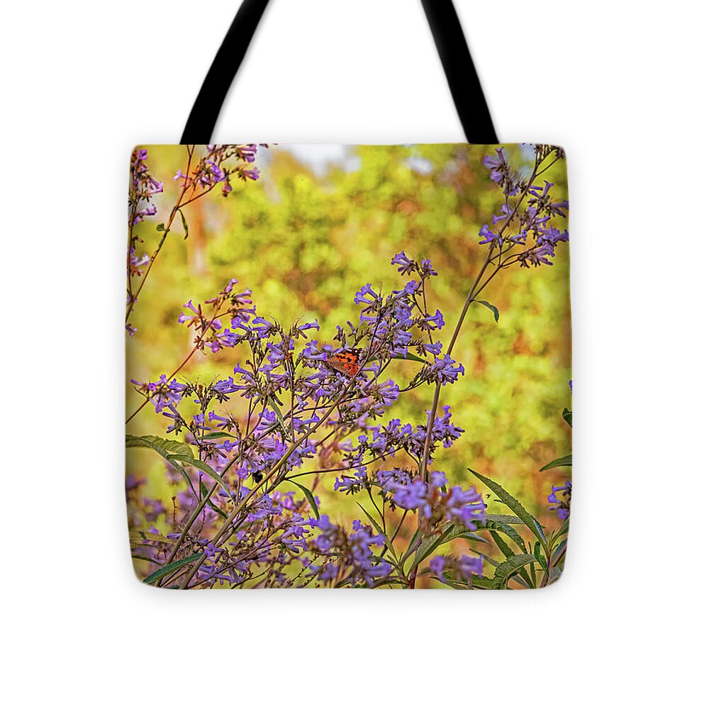A Butterfly Must Rest - Tote Bag