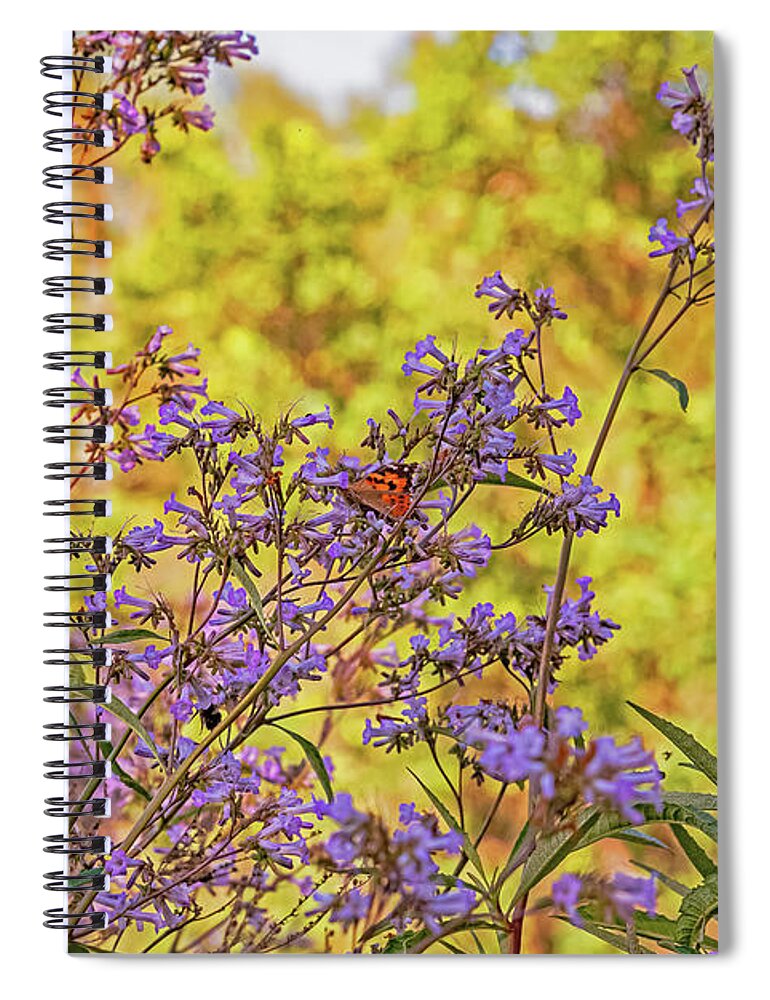 A Butterfly Must Rest - Spiral Notebook