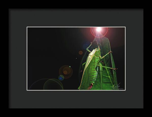 Adult Caedicia Walking into the Lens Flare  - Framed Print
