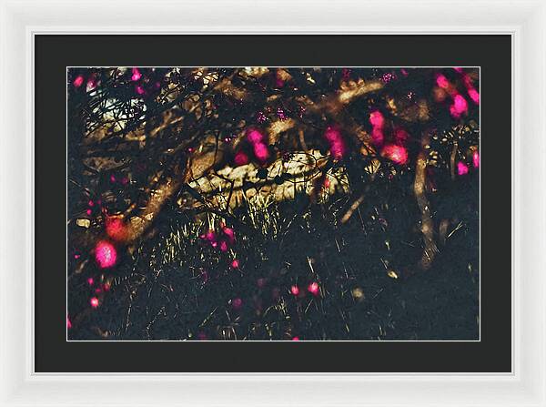 Artistic Blurs of Pink Flowers - Framed Print