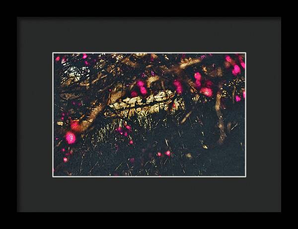 Artistic Blurs of Pink Flowers - Framed Print