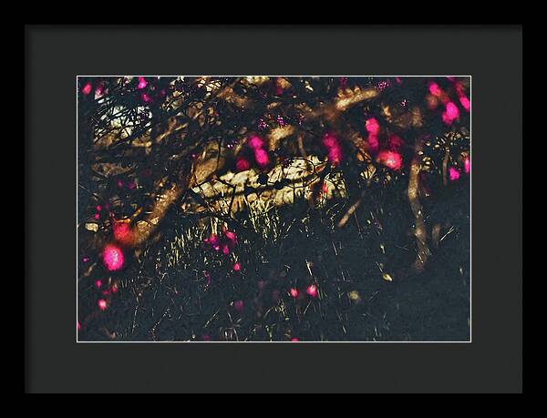 Artistic Blurs of Pink Flowers - Framed Print