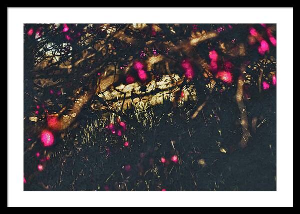 Artistic Blurs of Pink Flowers - Framed Print