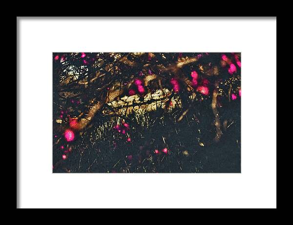 Artistic Blurs of Pink Flowers - Framed Print