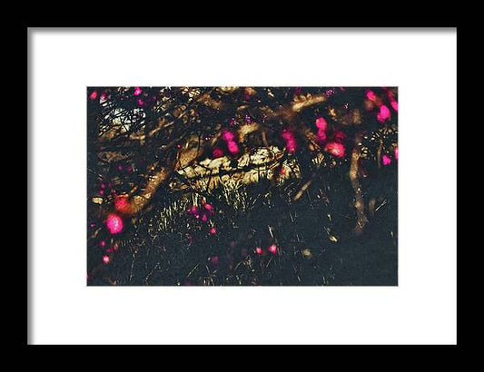 Artistic Blurs of Pink Flowers - Framed Print