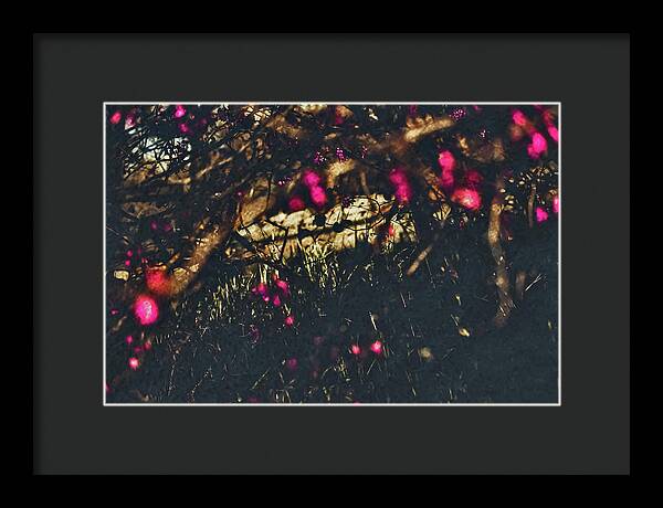 Artistic Blurs of Pink Flowers - Framed Print