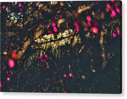 Artistic Blurs of Pink Flowers - Acrylic Print