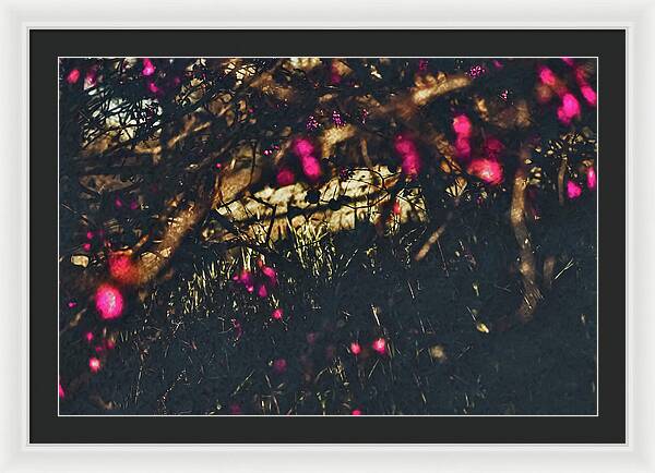 Artistic Blurs of Pink Flowers - Framed Print