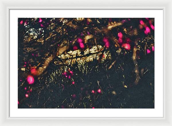 Artistic Blurs of Pink Flowers - Framed Print