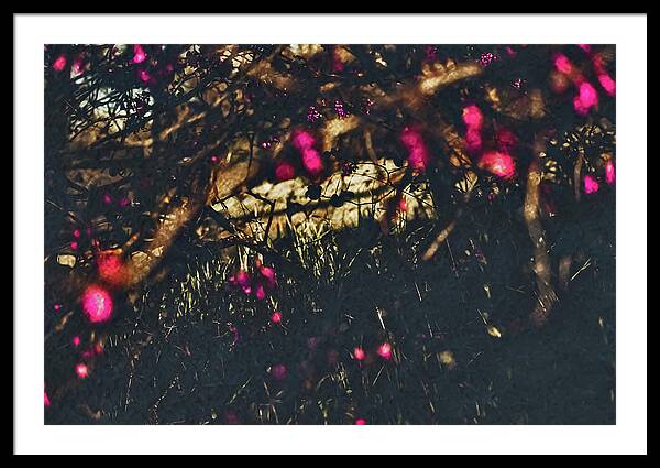 Artistic Blurs of Pink Flowers - Framed Print