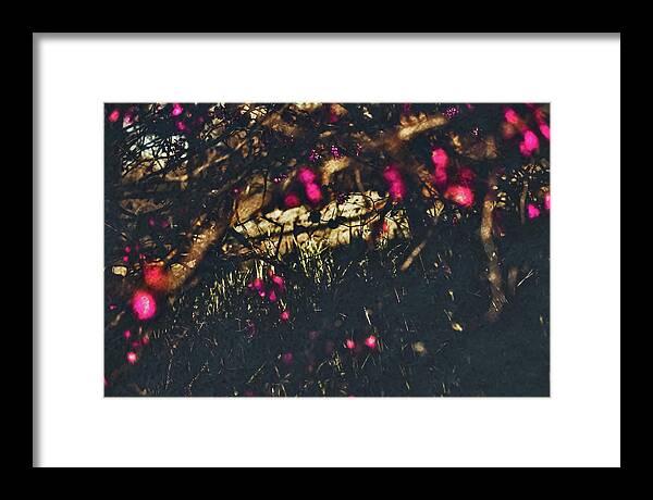 Artistic Blurs of Pink Flowers - Framed Print