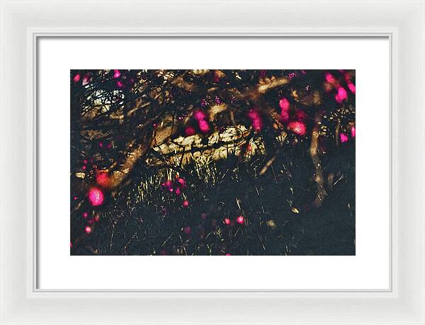 Artistic Blurs of Pink Flowers - Framed Print