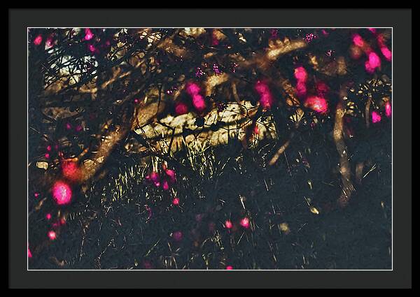 Artistic Blurs of Pink Flowers - Framed Print