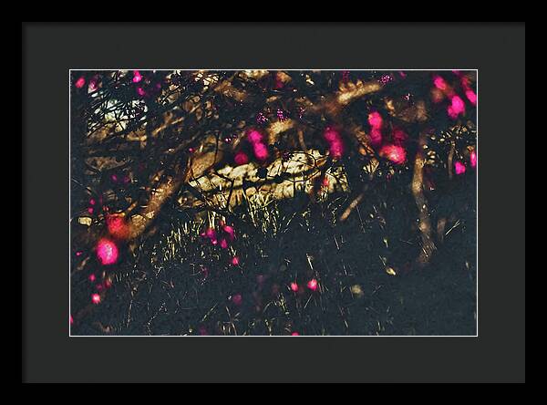 Artistic Blurs of Pink Flowers - Framed Print