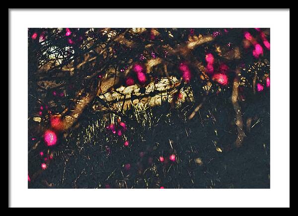 Artistic Blurs of Pink Flowers - Framed Print