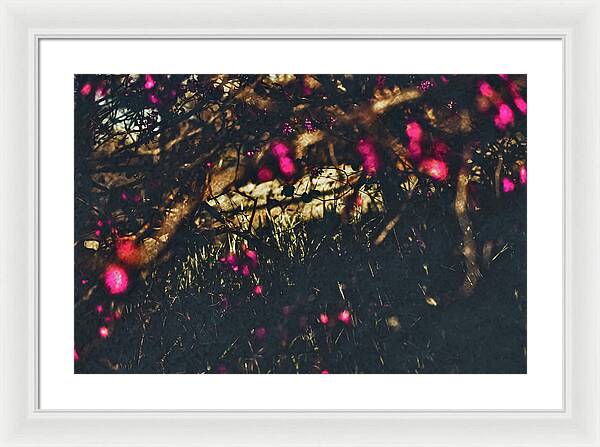 Artistic Blurs of Pink Flowers - Framed Print