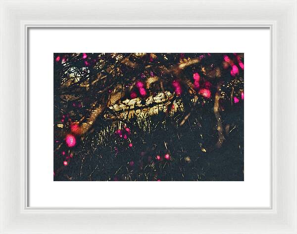 Artistic Blurs of Pink Flowers - Framed Print