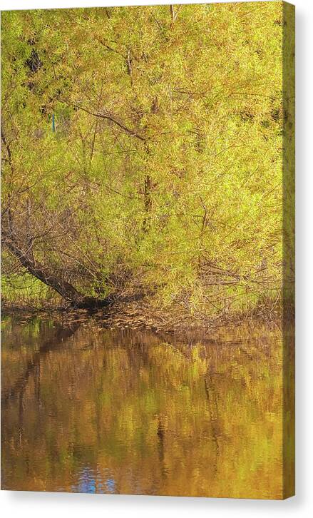 Autumn Reflections on a Quiet Lake - Canvas Print