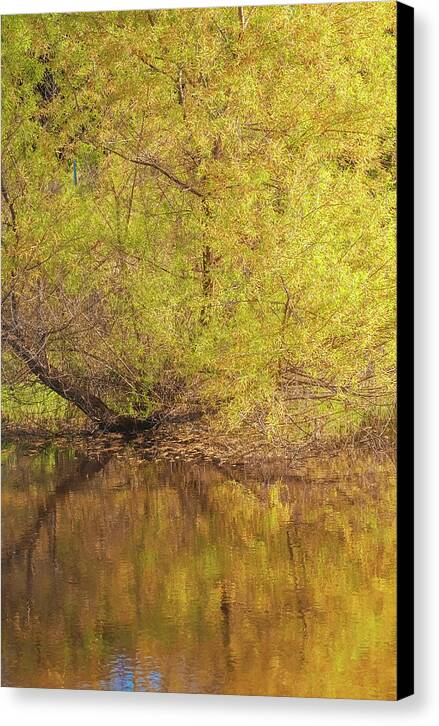 Autumn Reflections on a Quiet Lake - Canvas Print