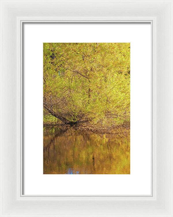 Autumn Reflections on a Quiet Lake - Framed Print