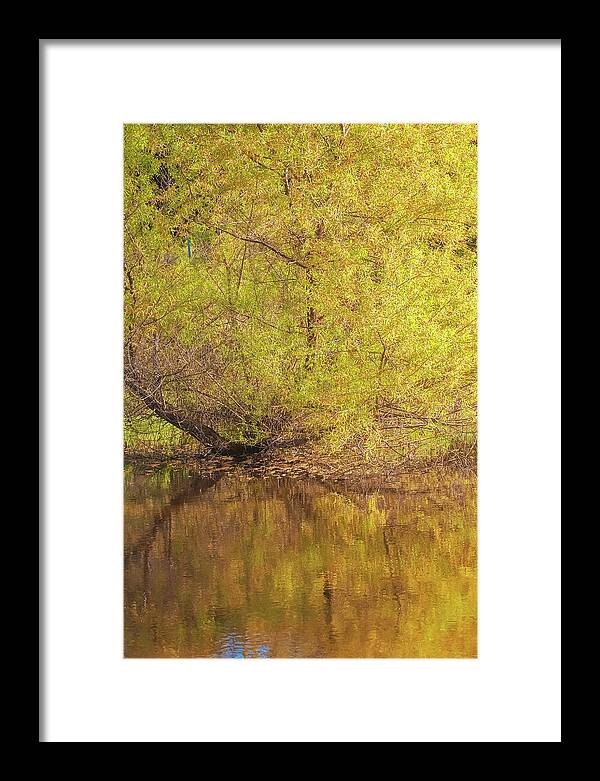 Autumn Reflections on a Quiet Lake - Framed Print