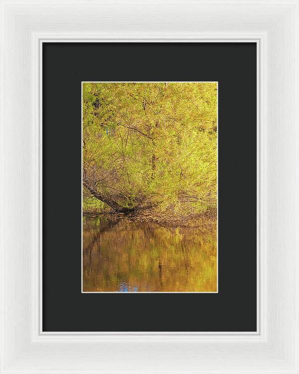 Autumn Reflections on a Quiet Lake - Framed Print