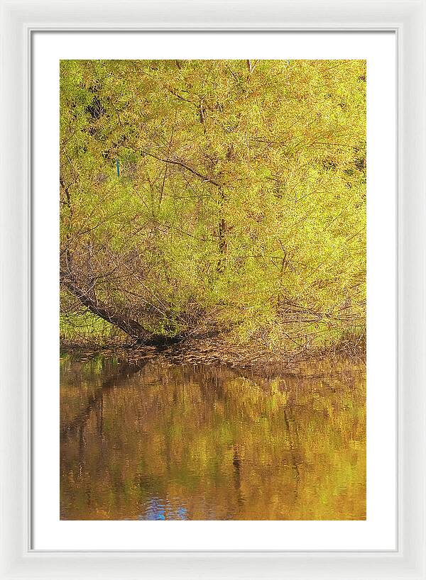 Autumn Reflections on a Quiet Lake - Framed Print