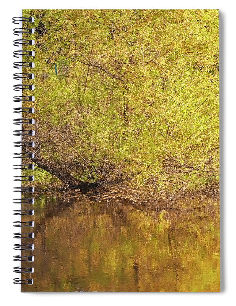 Autumn Reflections on a Quiet Lake - Spiral Notebook