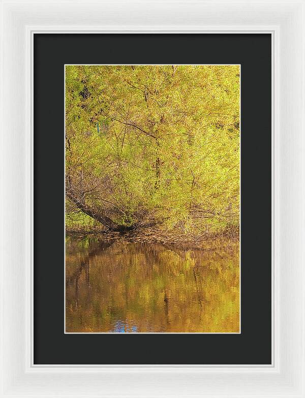 Autumn Reflections on a Quiet Lake - Framed Print