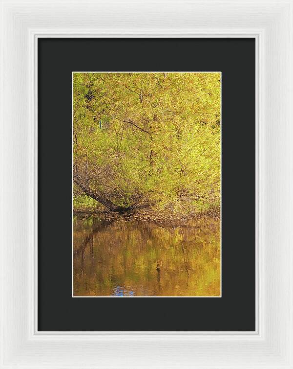 Autumn Reflections on a Quiet Lake - Framed Print