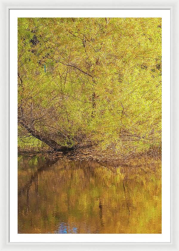 Autumn Reflections on a Quiet Lake - Framed Print