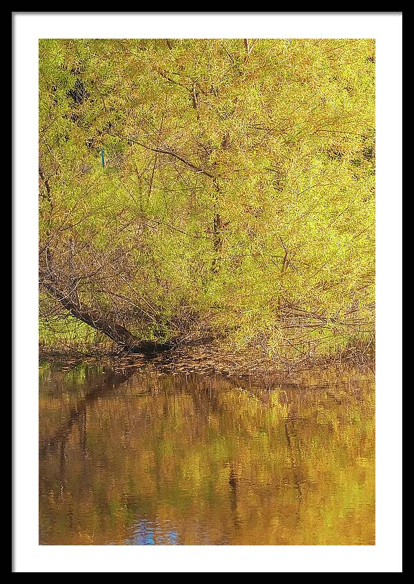 Autumn Reflections on a Quiet Lake - Framed Print