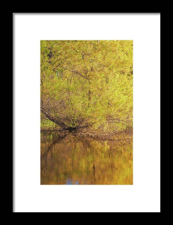 Autumn Reflections on a Quiet Lake - Framed Print