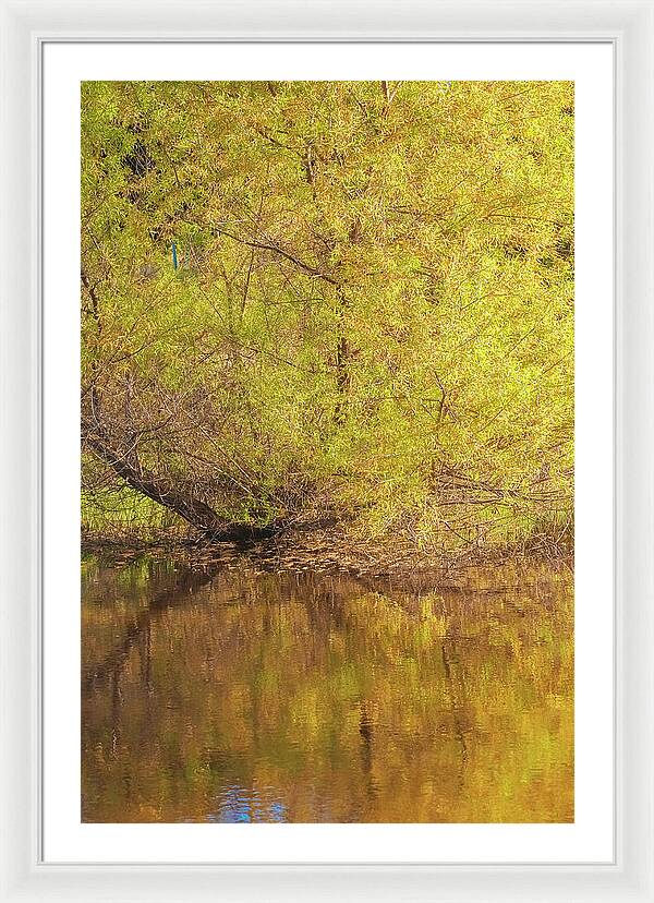 Autumn Reflections on a Quiet Lake - Framed Print
