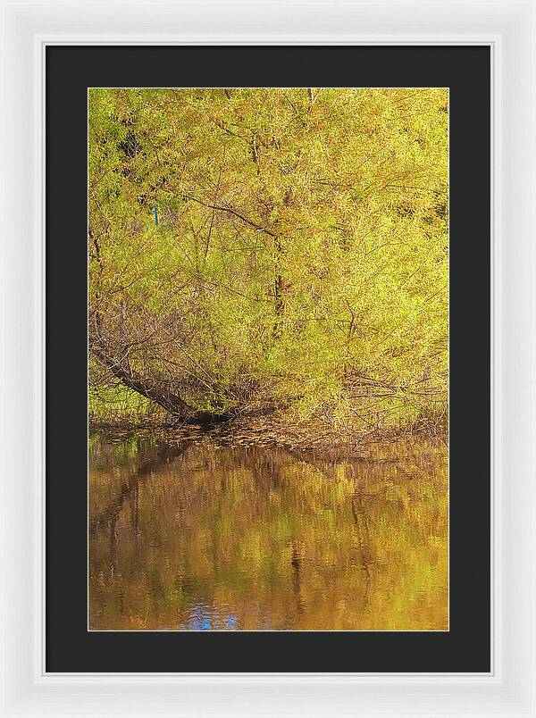 Autumn Reflections on a Quiet Lake - Framed Print