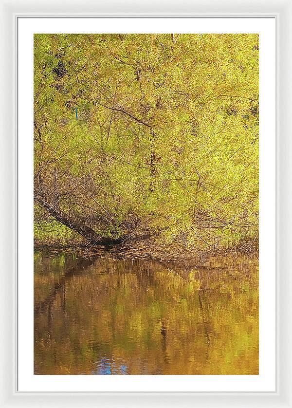 Autumn Reflections on a Quiet Lake - Framed Print