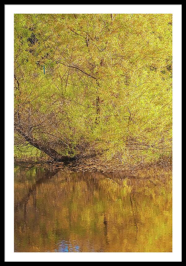 Autumn Reflections on a Quiet Lake - Framed Print