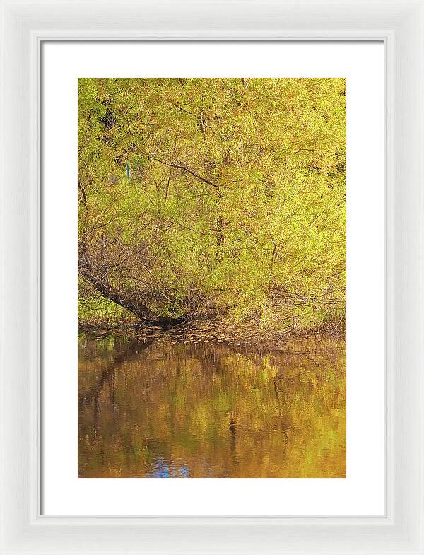 Autumn Reflections on a Quiet Lake - Framed Print