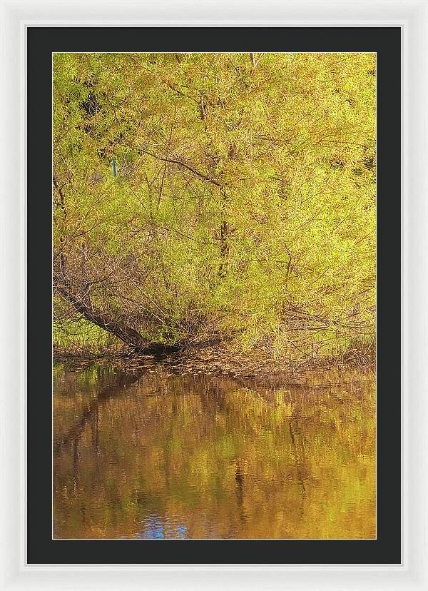Autumn Reflections on a Quiet Lake - Framed Print