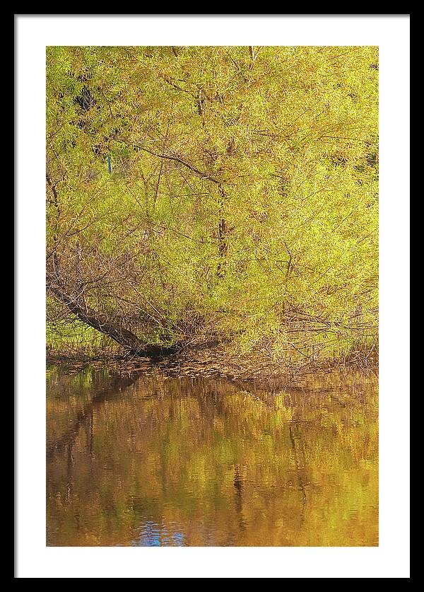 Autumn Reflections on a Quiet Lake - Framed Print