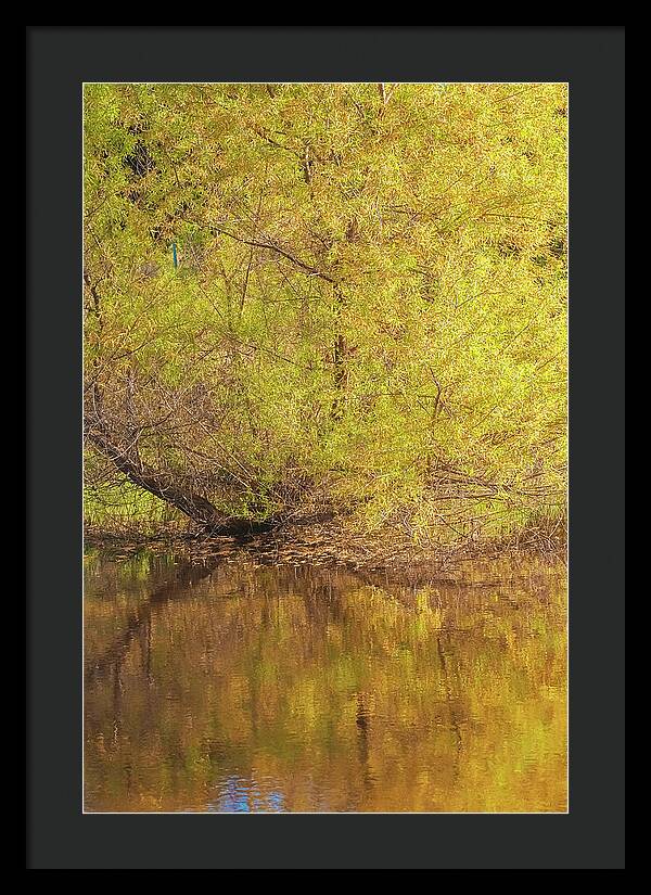 Autumn Reflections on a Quiet Lake - Framed Print